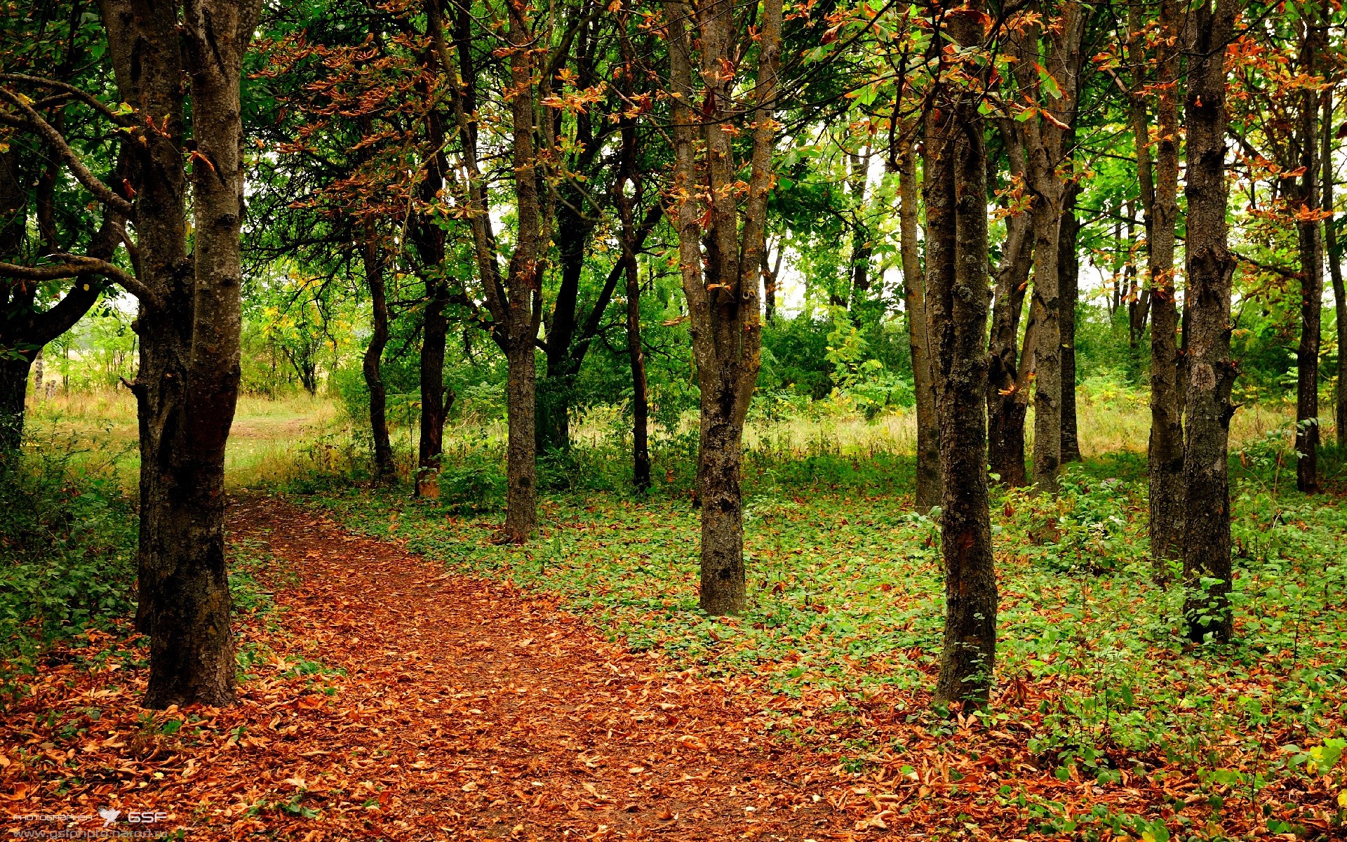 安联无声，维洛德雷的风，与那个点燃冰与火的男人