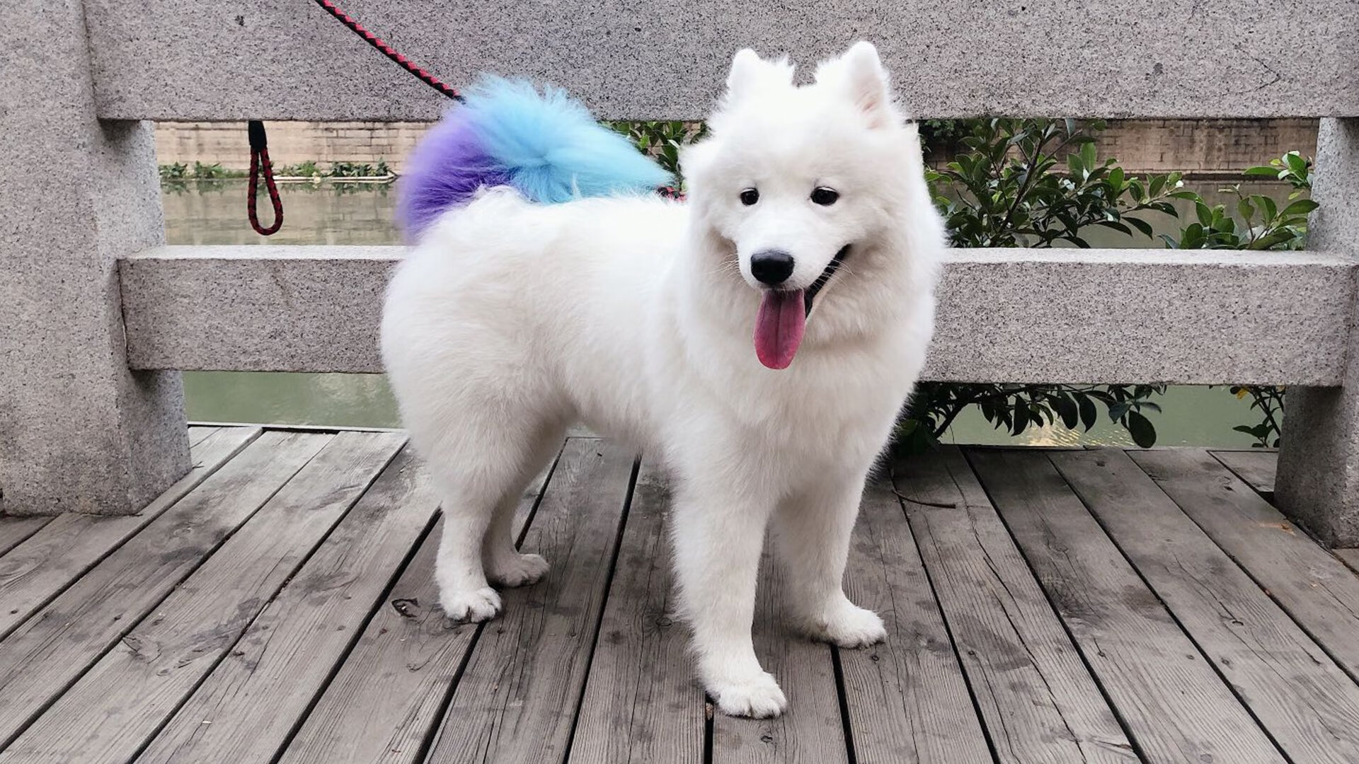 爱游戏入口-绿茵烽火，土耳其的帝国炮台与萨卡的关键密码