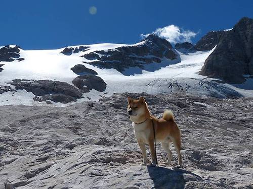 唯一之战，北京队跨洋挑战森林狼，西亚卡姆冠军光芒照亮赛场