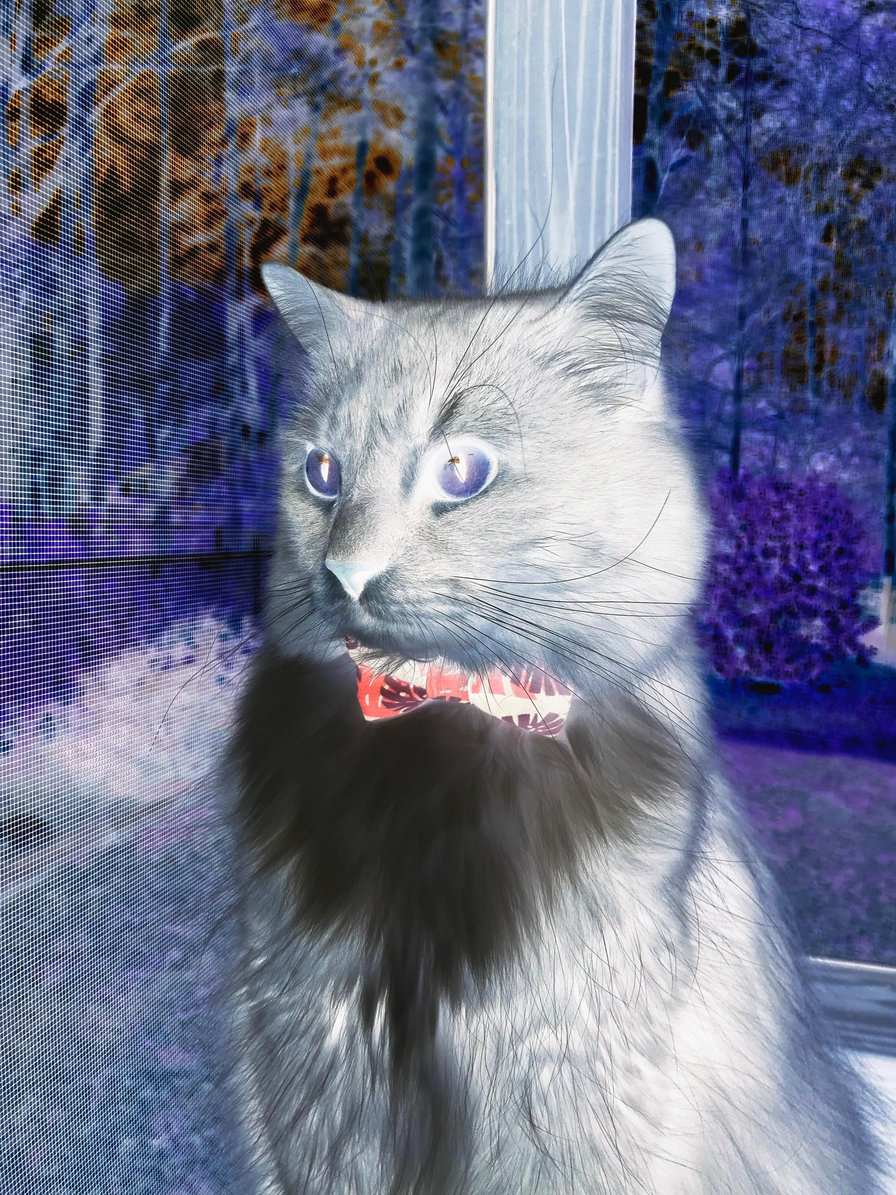 冲破命运的那一夜，世界杯史上最戏剧性的弱旅政变