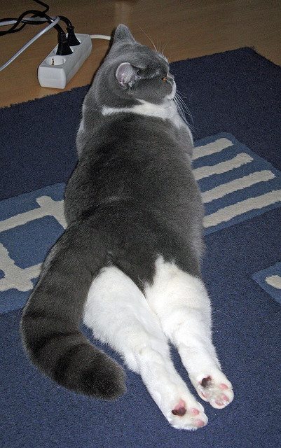 爱游戏APP-蝴蝶扇动翅膀时，皇家社会压哨绝杀如何悄然改写了英超争冠格局