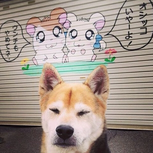 钢与火的淬炼，奥斯梅恩用手术刀为胜利写下教科书式注解