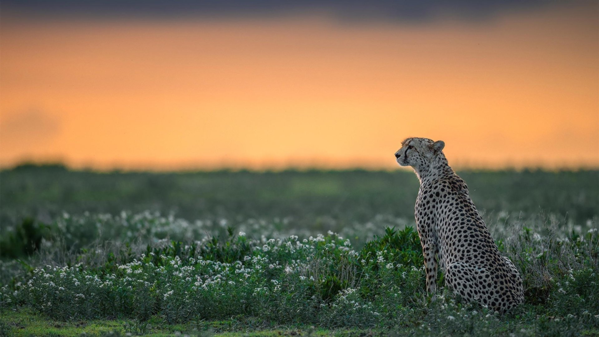 当诺坎普遇见甲骨文，杜兰特演绎篮球场上的国家德比