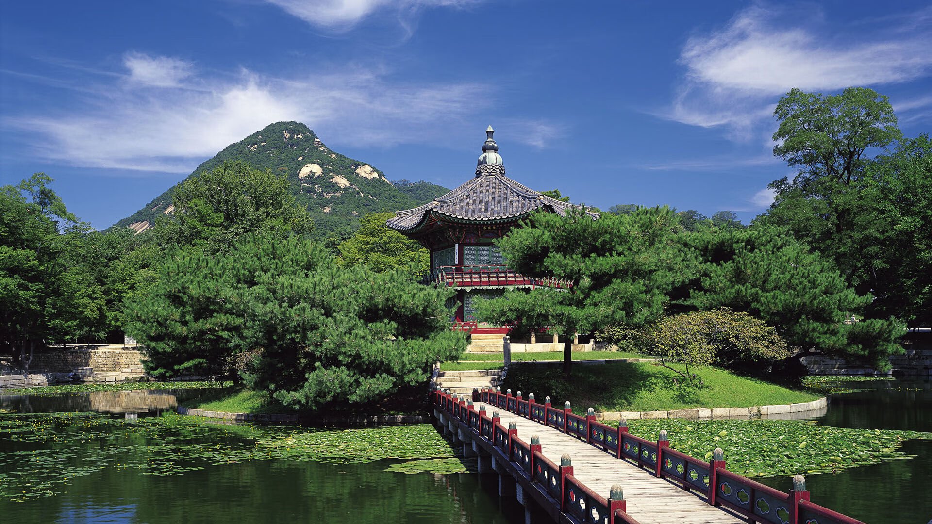 孤星闪耀孟菲斯，爱德华兹的统治级表演与魔术的集体迷失