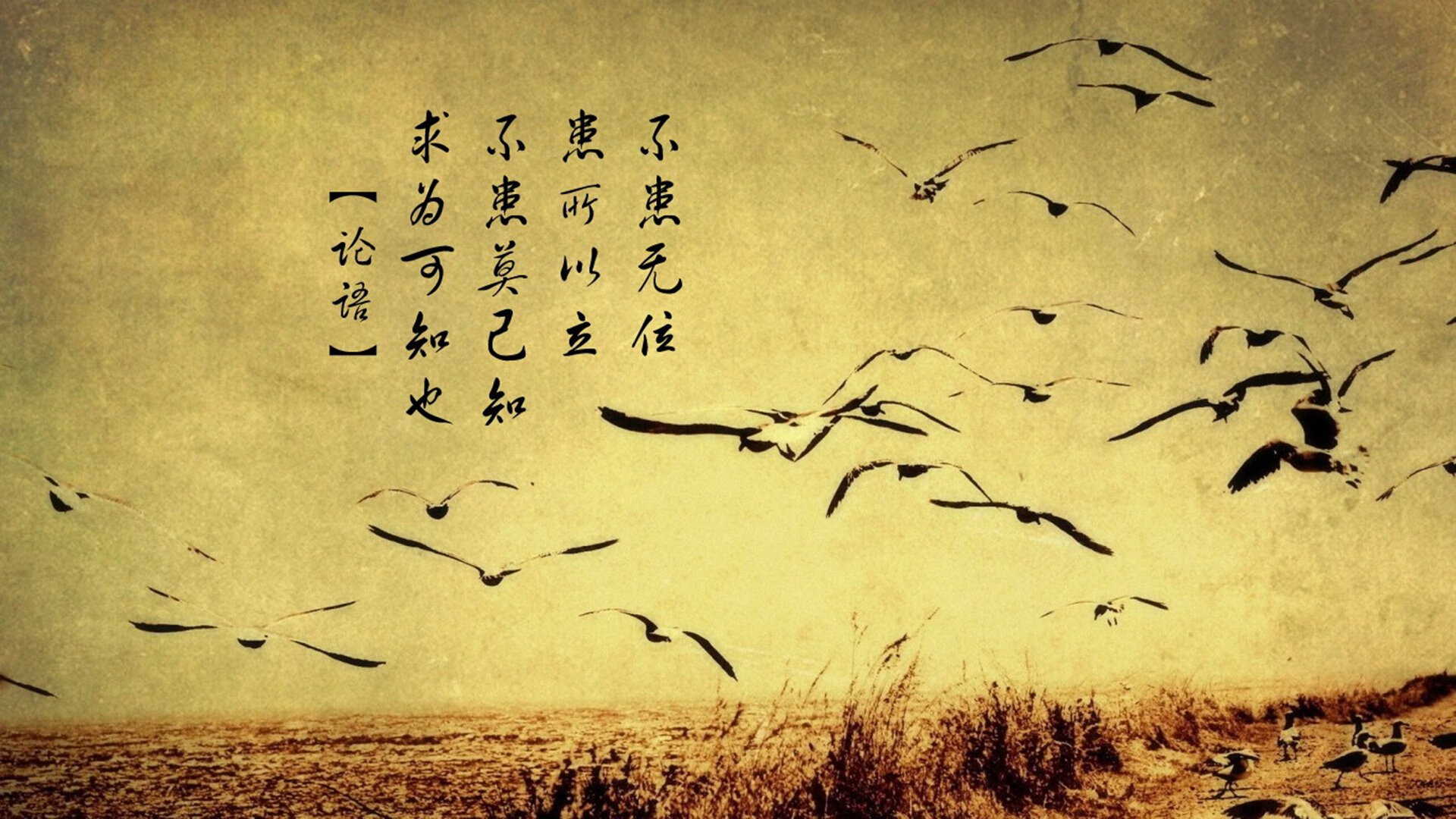 逆转的方程式，当墨西哥意志击穿克罗地亚铁幕，三笘薰用魔术师笔触重写世界杯剧本