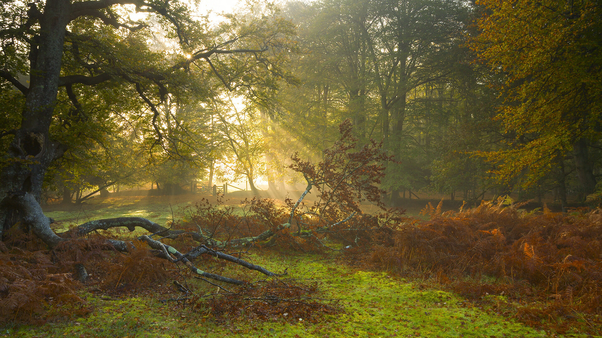 冷门之夜，迪亚斯挥戈定乾坤，替补奇兵导演斯洛伐克史诗逆转